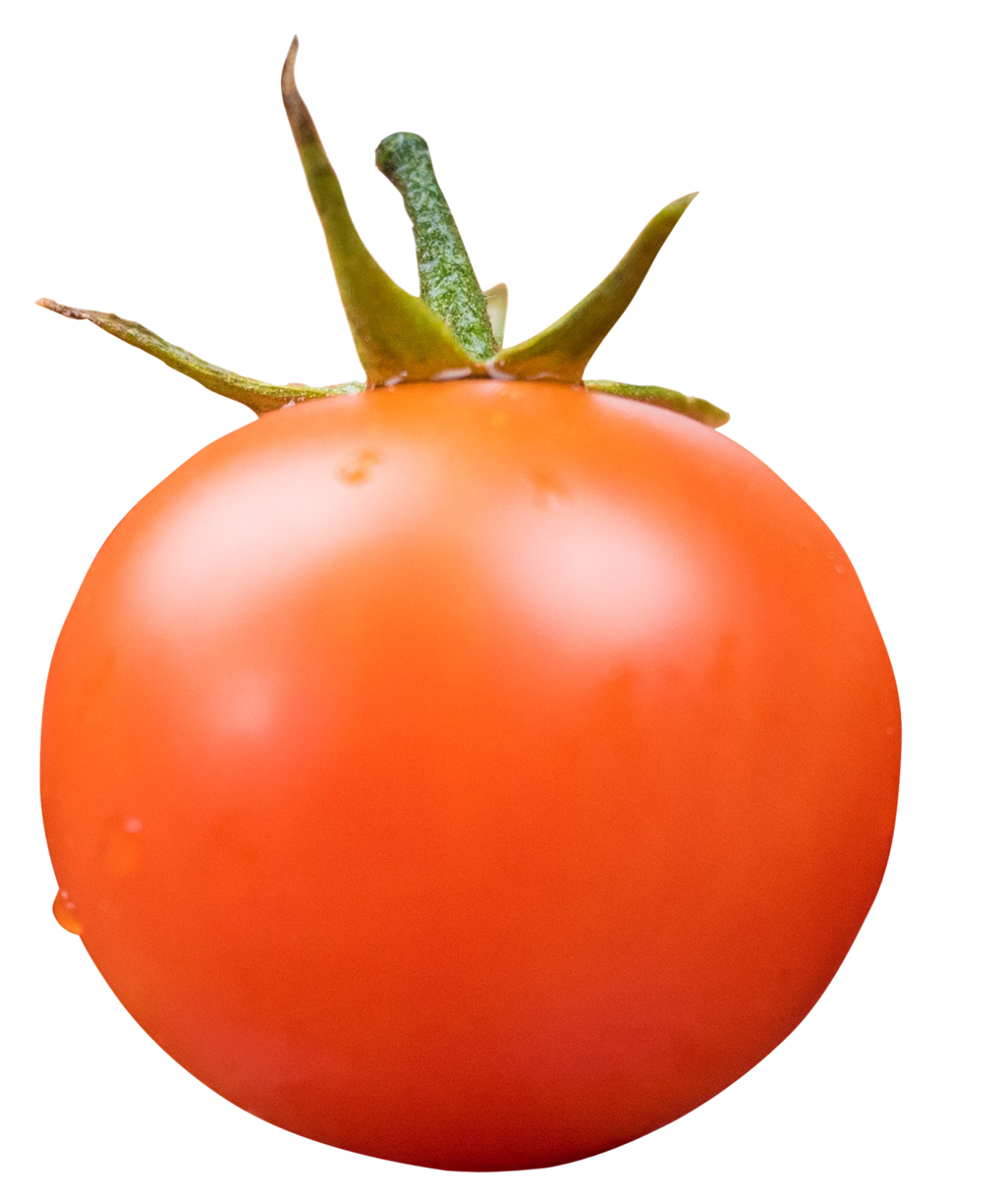 tomato, tomato png, tomato png image, tomato transparent png image, tomato png full hd images download